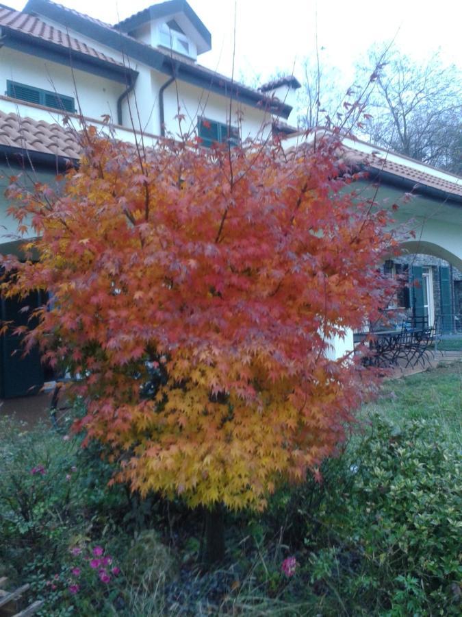 B&B Villa Paola Savona Exteriér fotografie